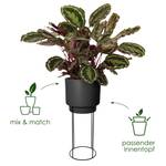 b.for studio rund 22cm living schwarz